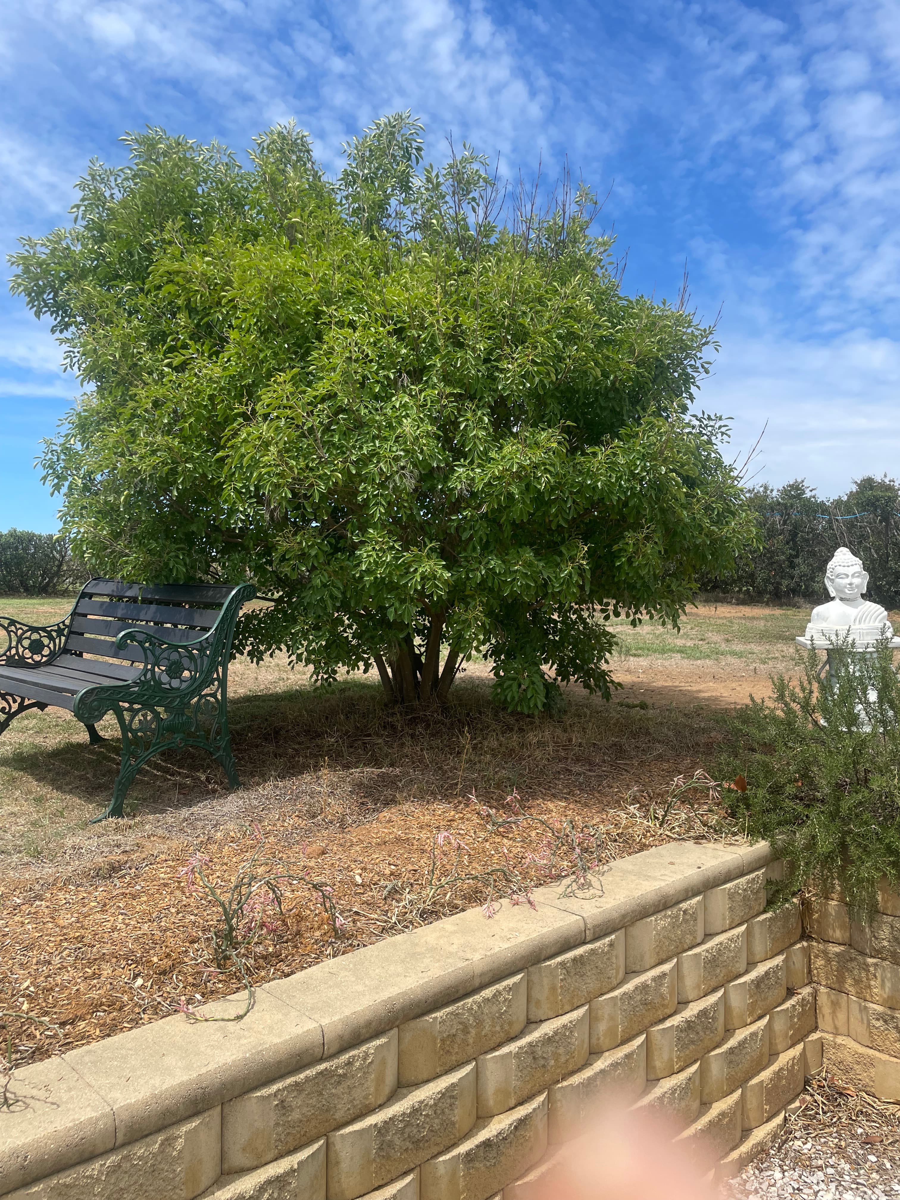 Mudgee Gardens Stayz - Image 14