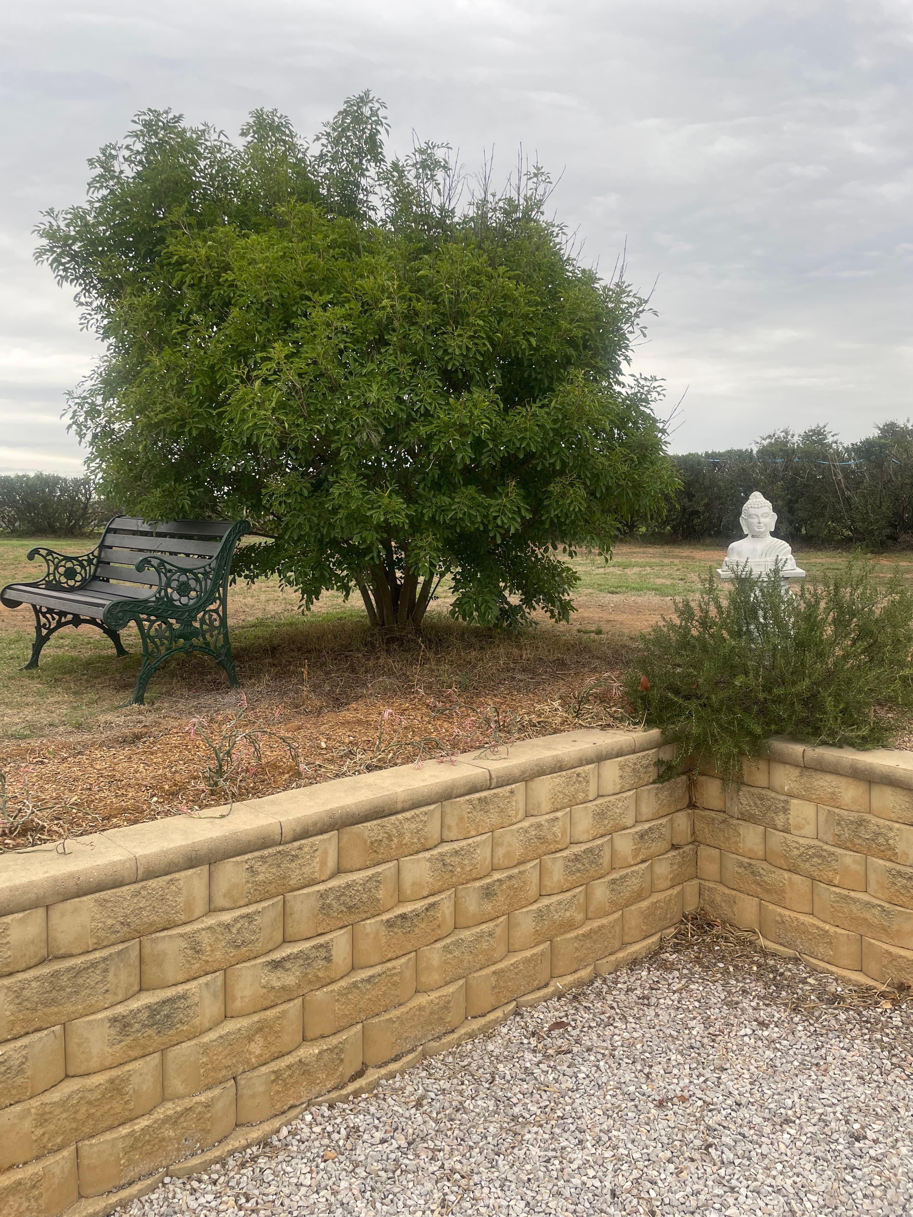 Mudgee Gardens Stayz - Image 15